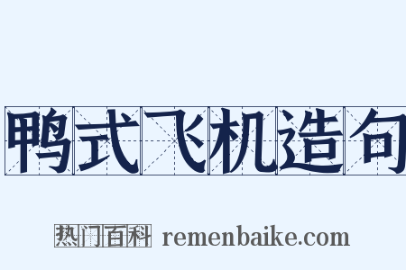 鸭式飞机造句是什么意思的图片